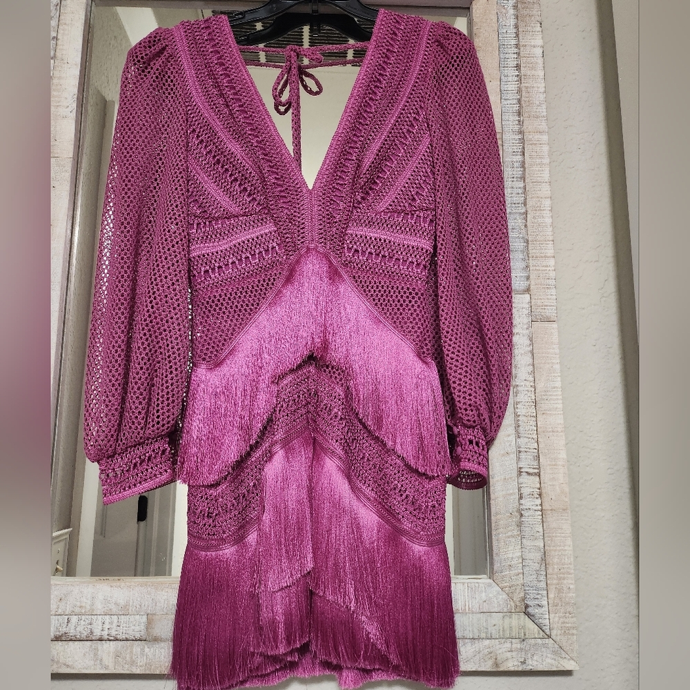 SOLD PatBO Long Sleeve Fringe Mini Dress - Picture 7 of 14